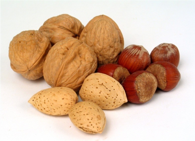 Nuts, Excellent Sources Of Essential Fats